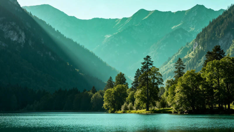 青山绿水映晨光图片