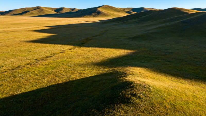 草原光影 起伏如诗图片