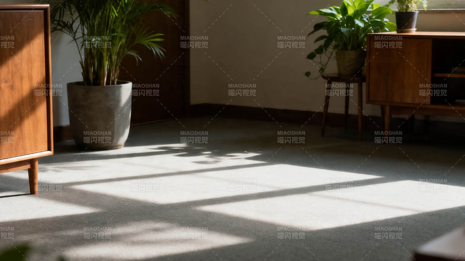 阳光洒落 绿植伴木柜静隅图片