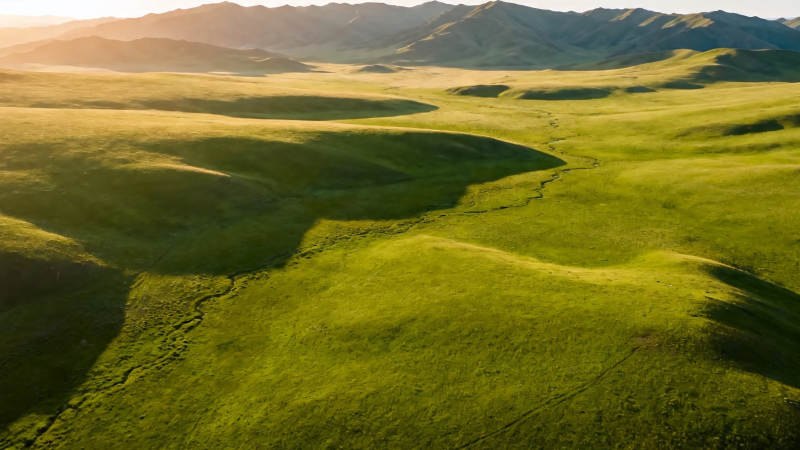 草原晨曦 绿野连绵如诗图片