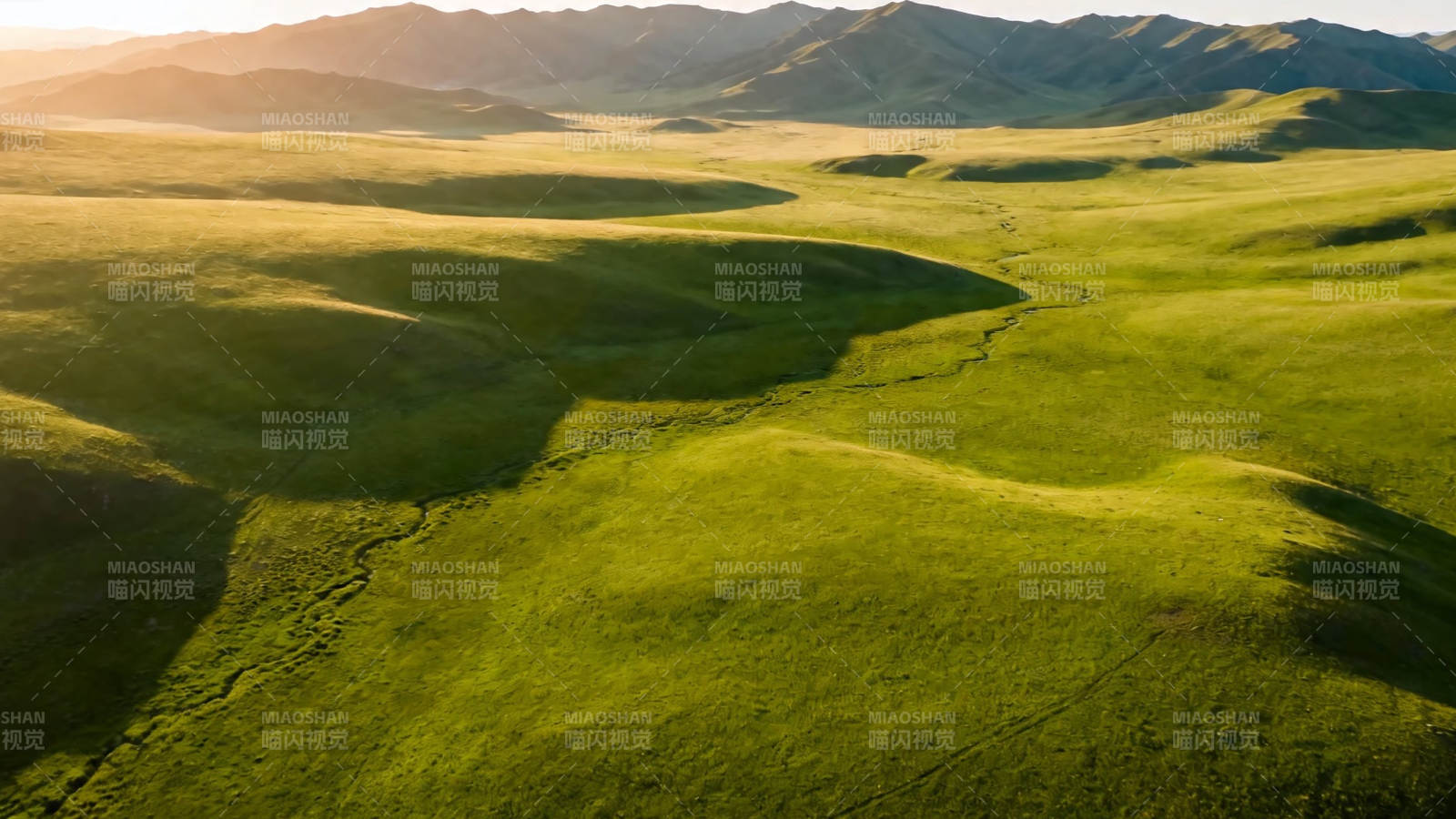 草原晨曦 绿野连绵如诗图片