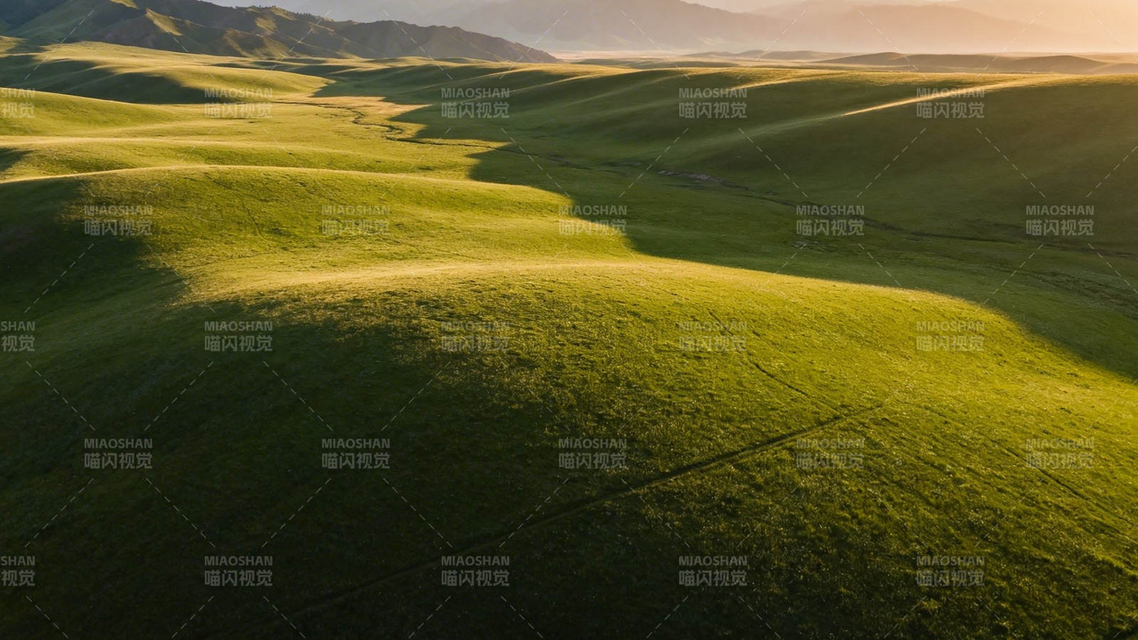 绿野千重 晨光如金图片