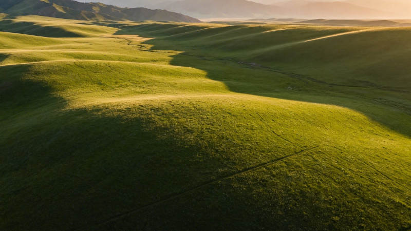 绿野千重 晨光如金图片
