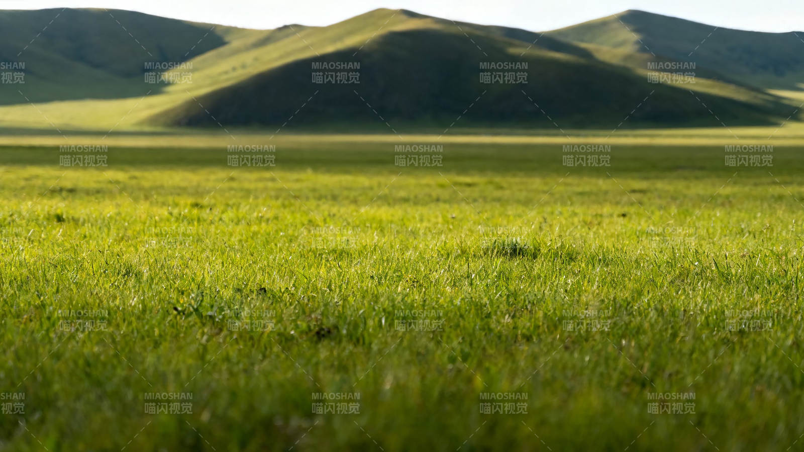 绿野千里 山峦静卧图片