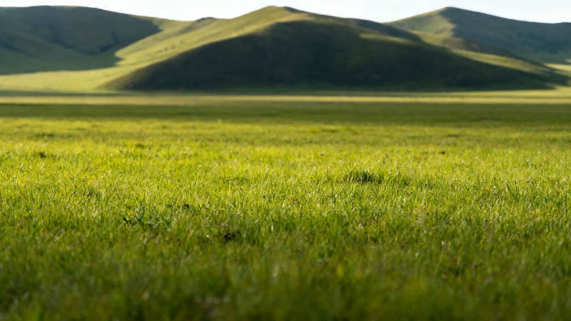 绿野千里 山峦静卧图片