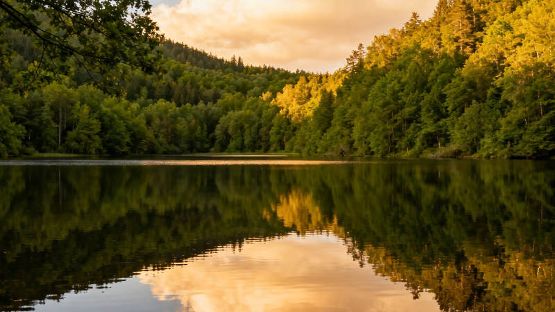 湖光山色映金霞图片