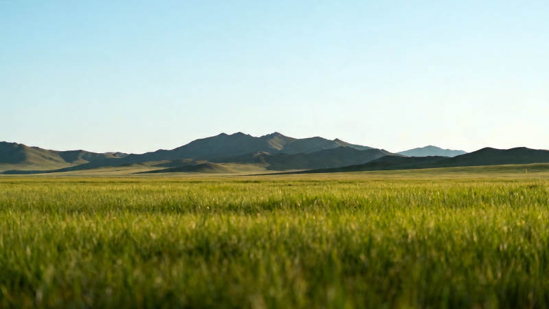 草原远山 晴空万里图片
