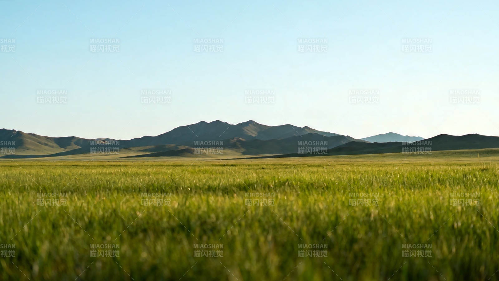 草原远山 晴空万里图片