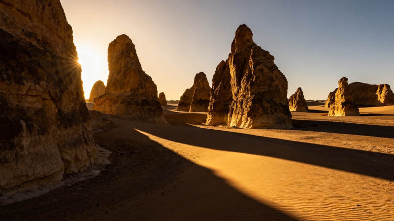 沙漠岩林 夕阳剪影图片