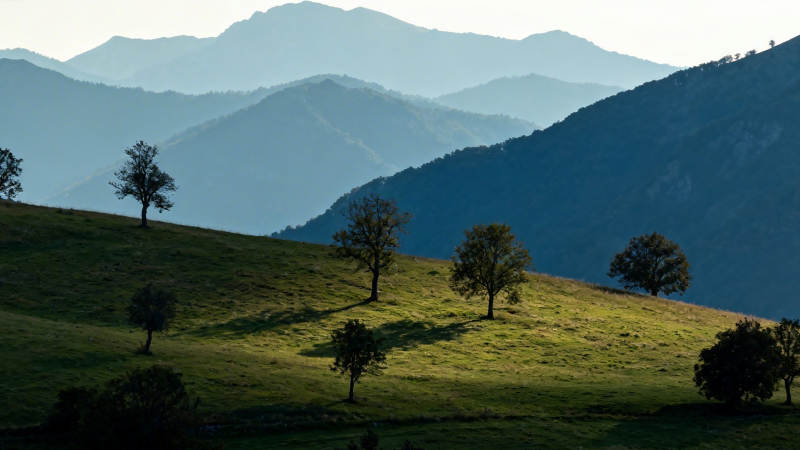 山峦叠翠 孤树映斜阳图片