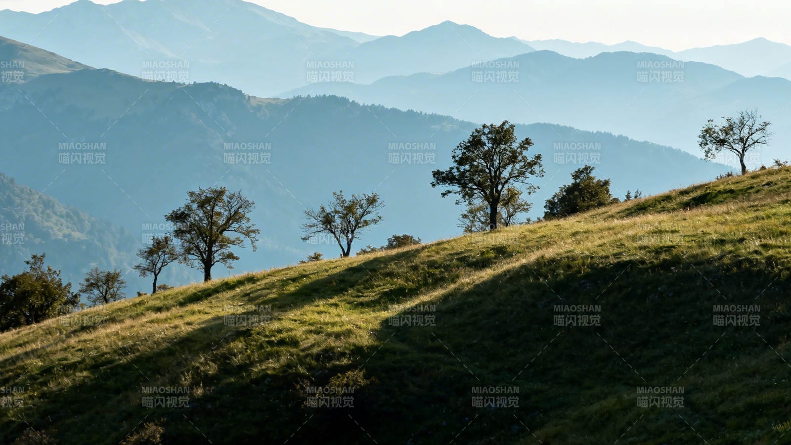 山峦叠翠 孤树映斜阳图片