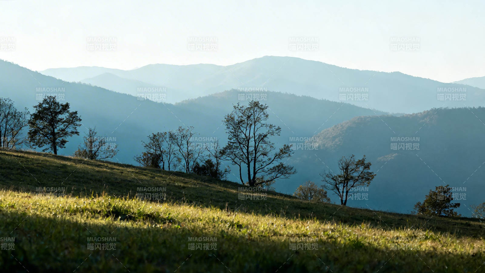 山峦叠翠 草坡迎晨光图片