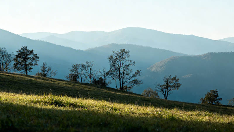 山峦叠翠 草坡迎晨光图片
