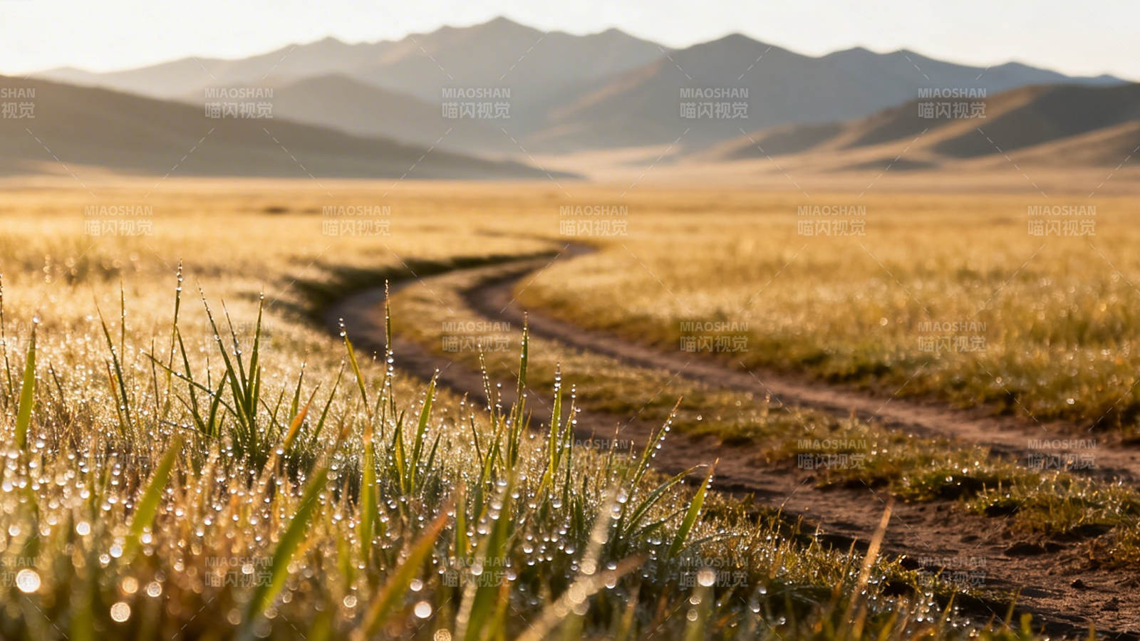 晨露小径 远山如黛图片
