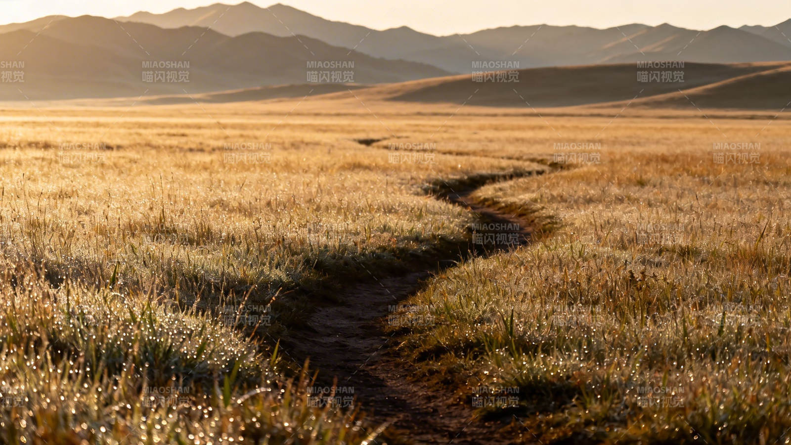 草原小径 远山如黛图片