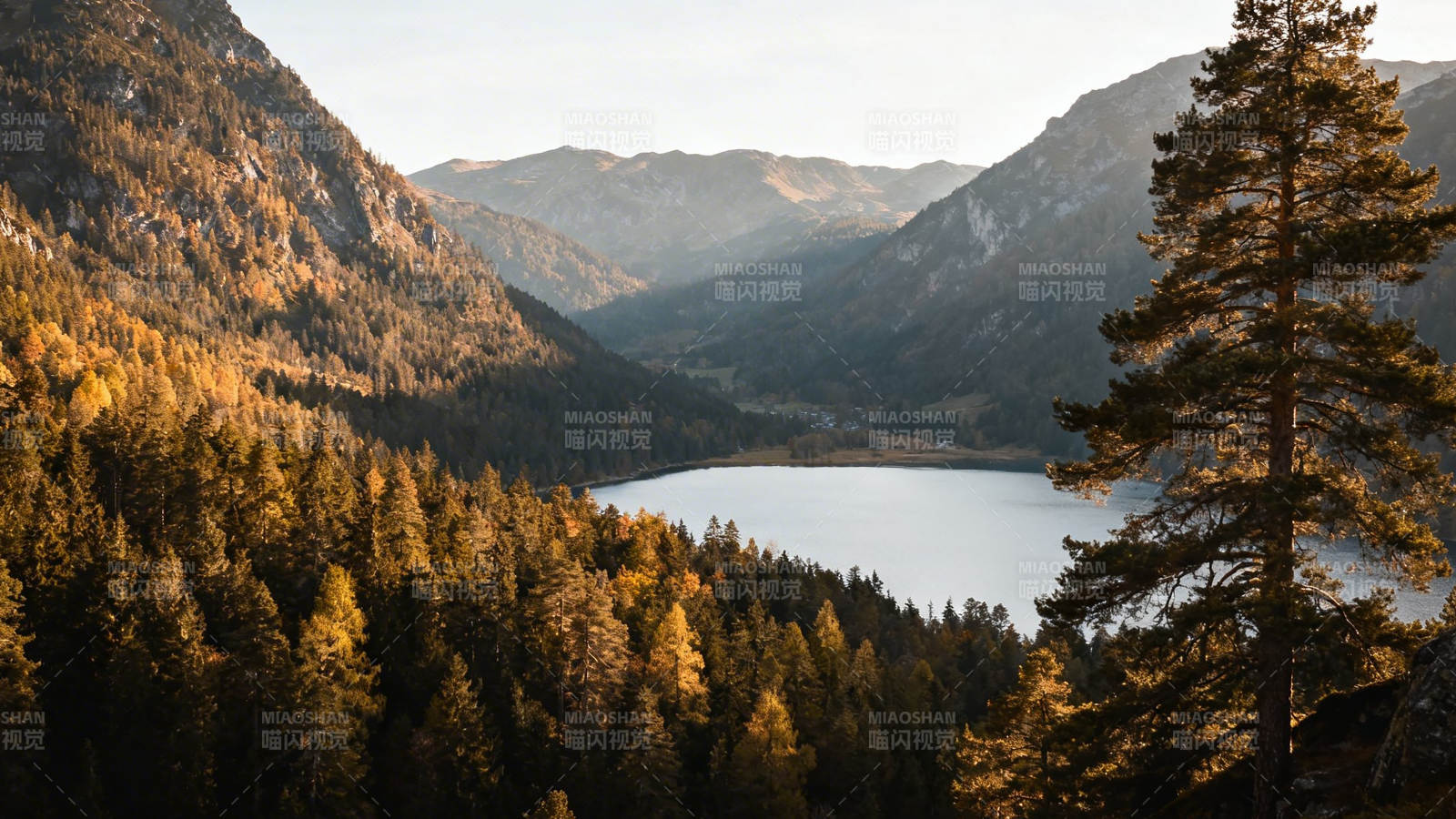 秋山映湖 松影静美图片