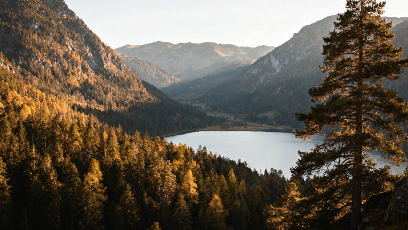 秋山映湖 松影静美图片