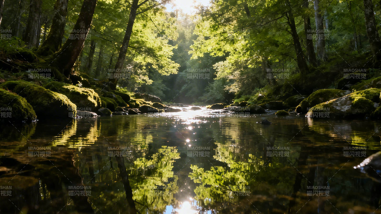 林间溪流 光影如诗图片