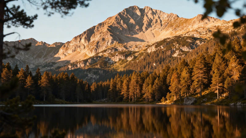 山湖夕照 金辉映林静图片