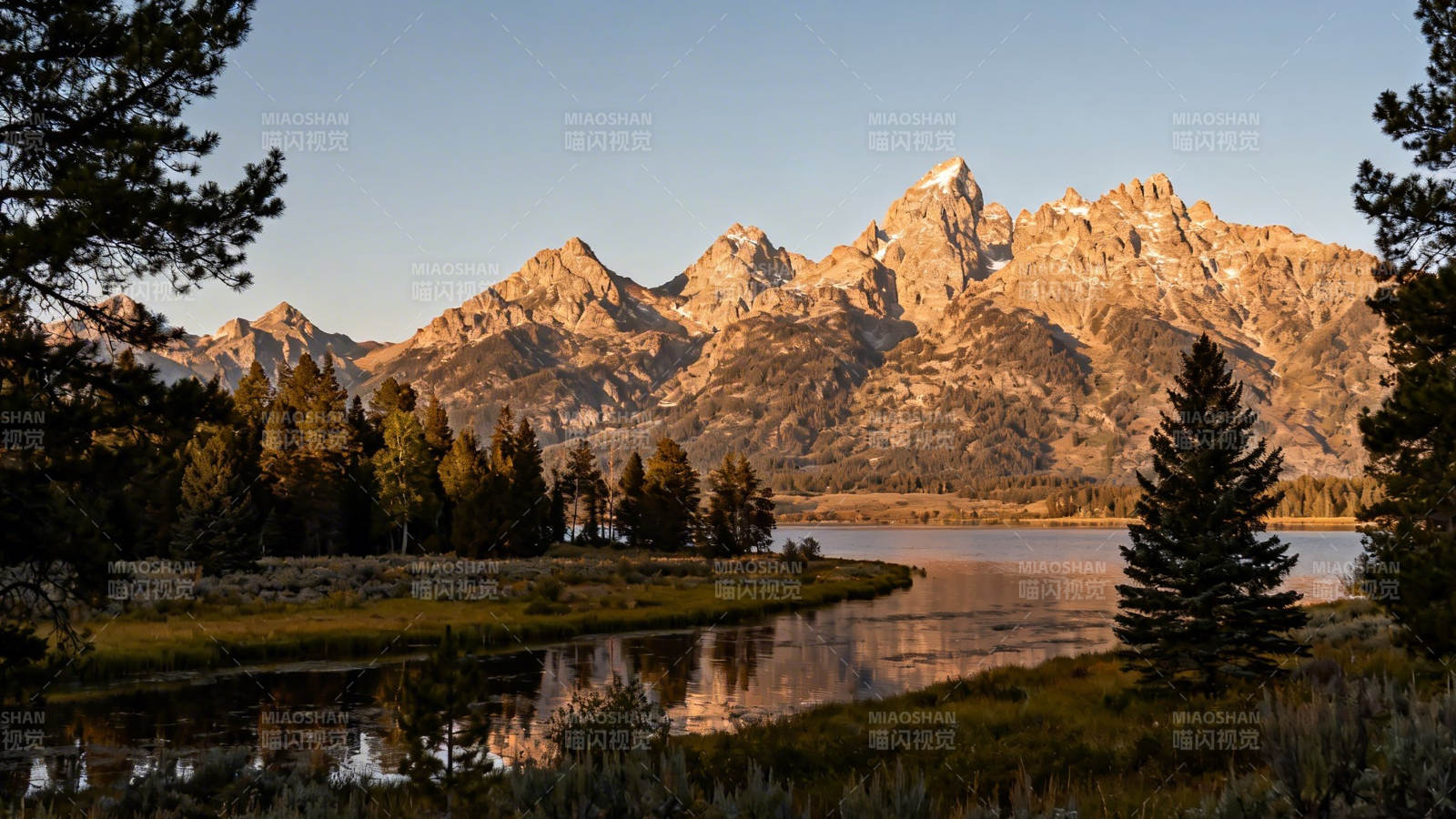 雪山映湖 松林静美图片