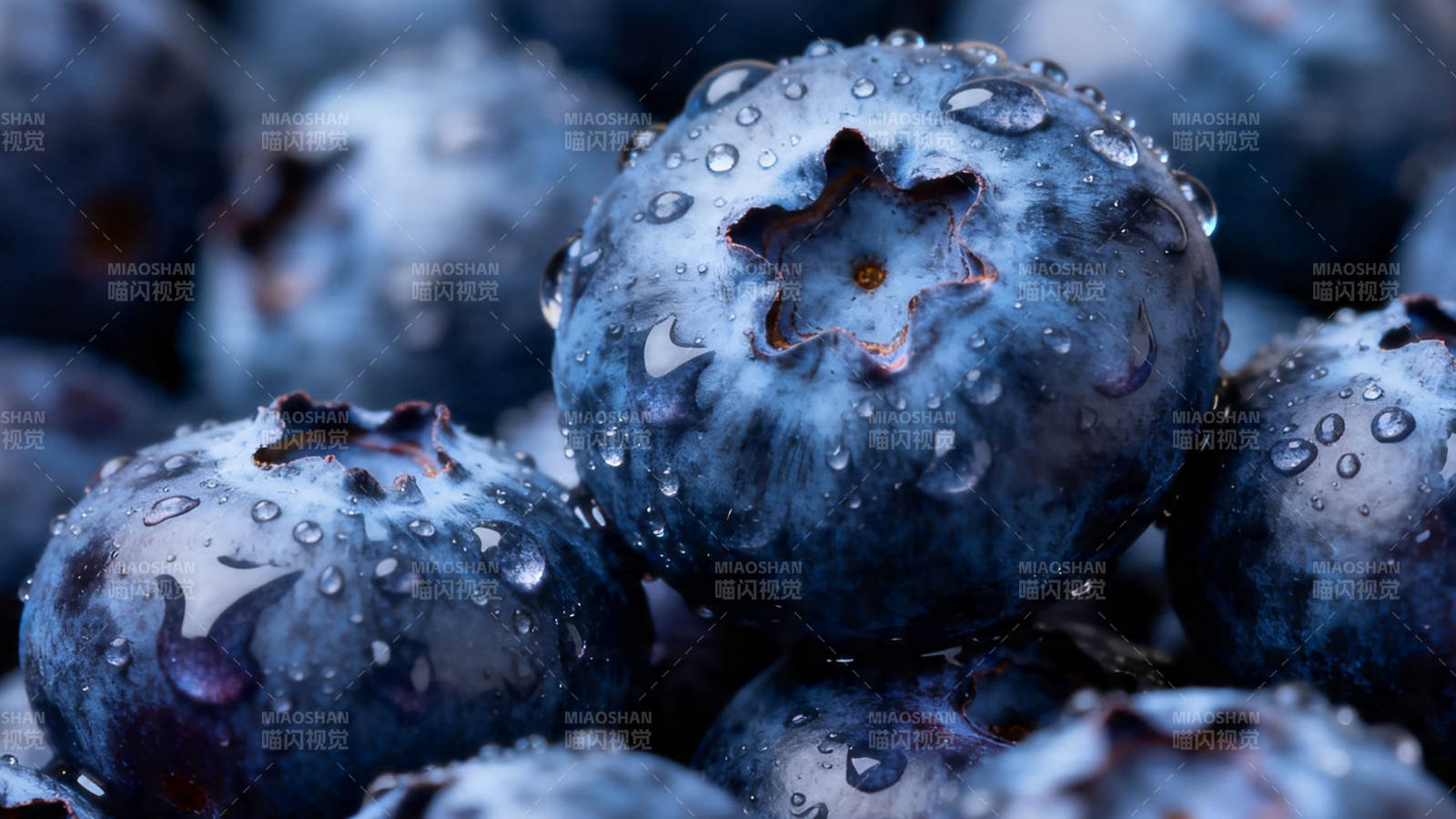 蓝莓水珠特写 清新诱人图片