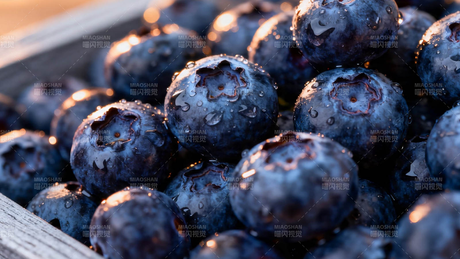 蓝莓晶莹 晨露轻沾图片