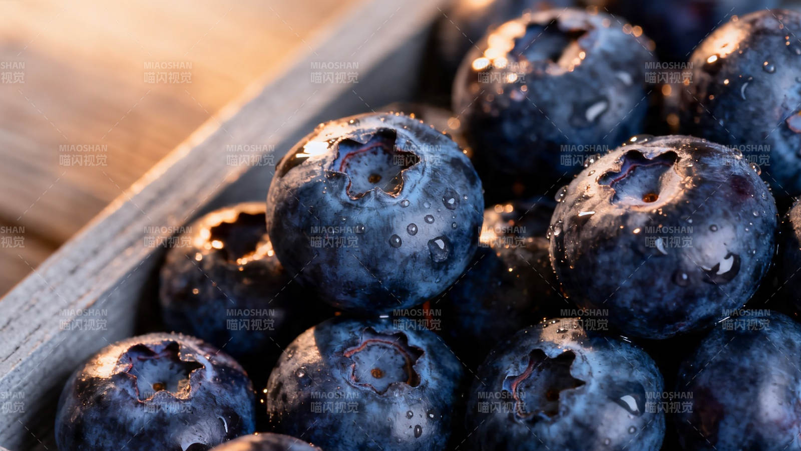 新鲜蓝莓 晶莹水珠点缀图片