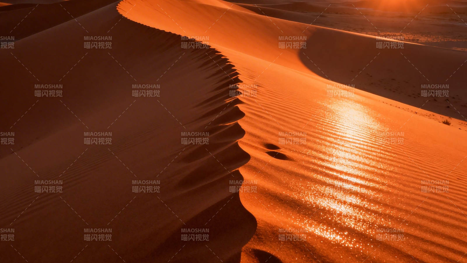 沙漠金辉 沙丘如浪图片