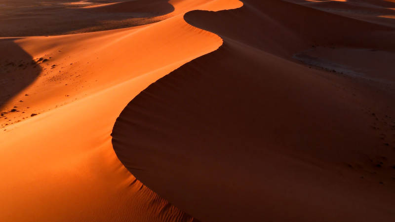 沙漠金浪 光影如诗图片