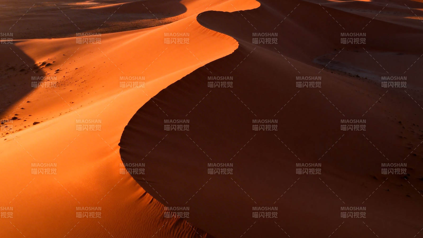 沙漠金浪 光影如诗图片