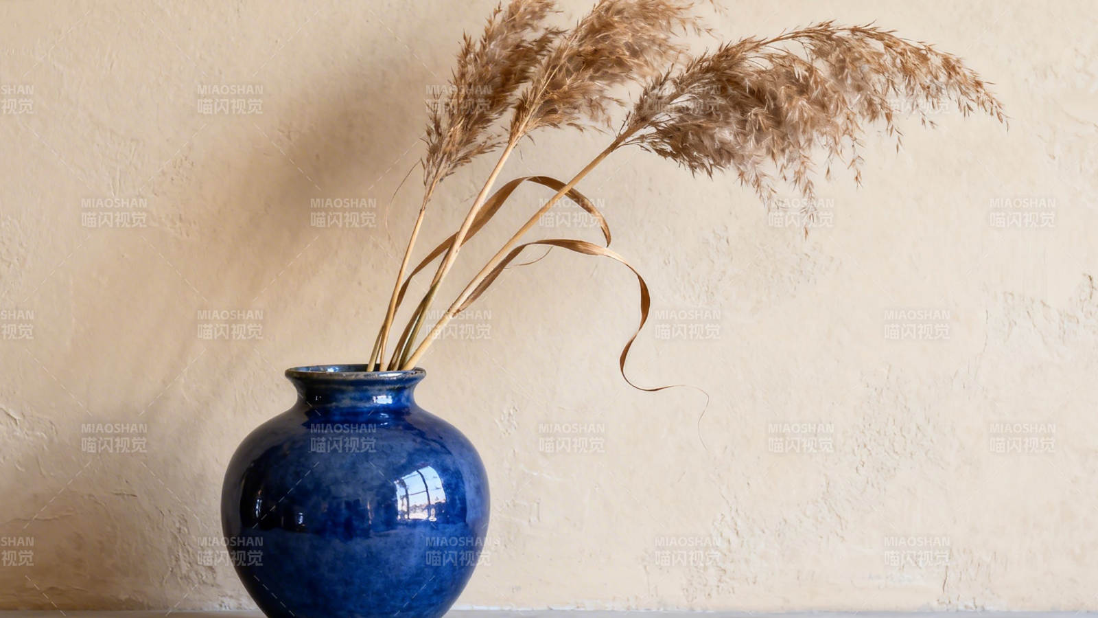 蓝瓶插干芦 静美如诗画图片
