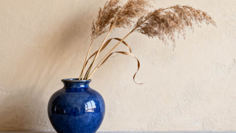 蓝瓶插干芦 静美如诗画图片