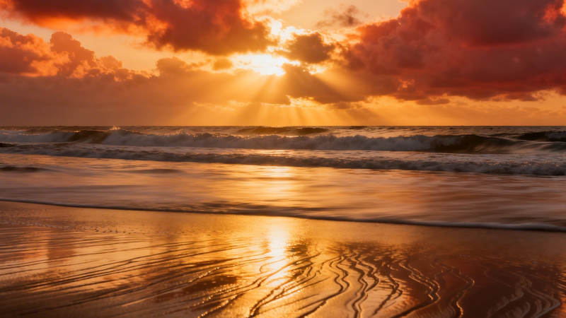 夕阳金辉洒海滩图片