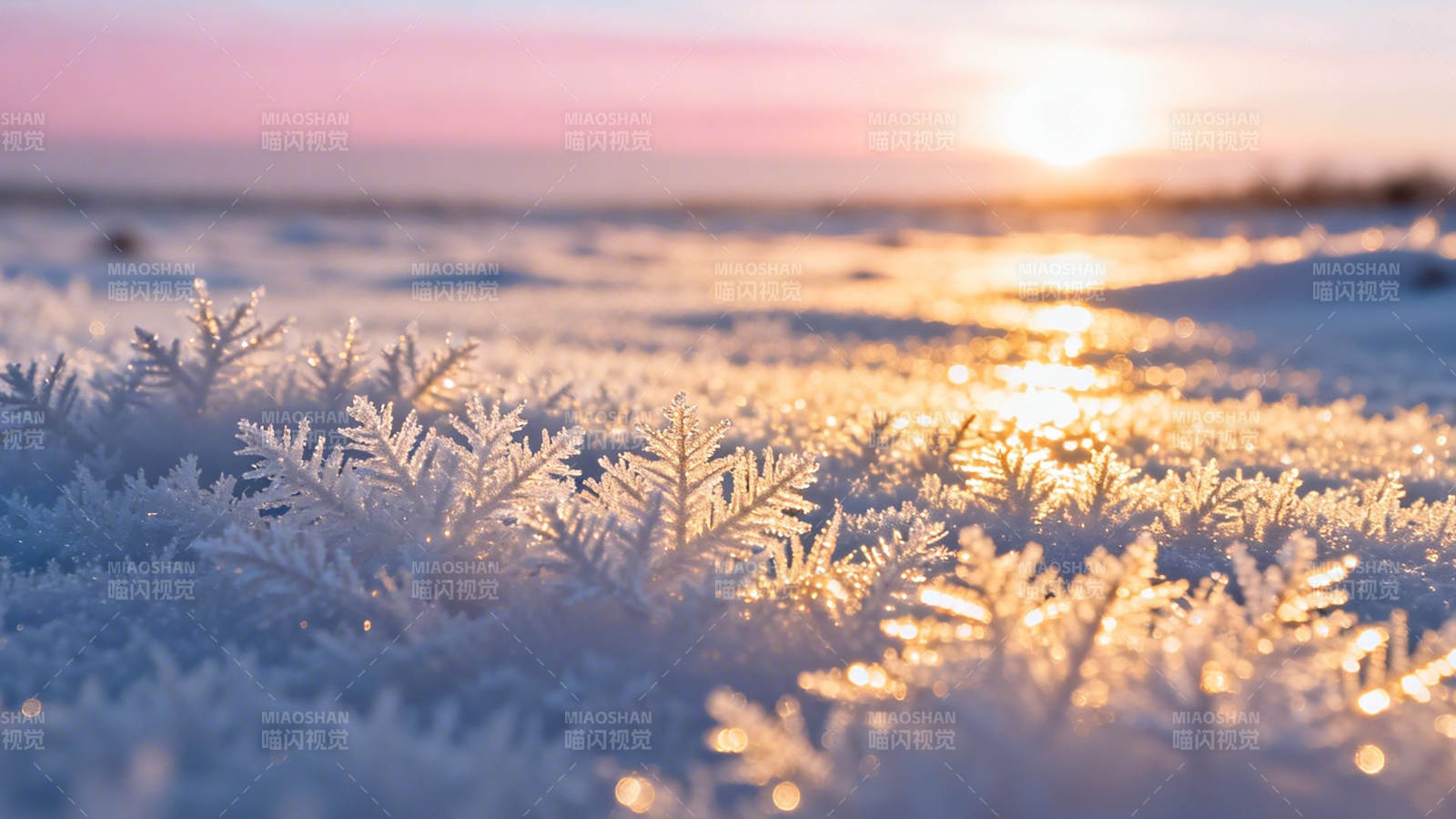 霜花映夕阳 冬野暖光柔图片