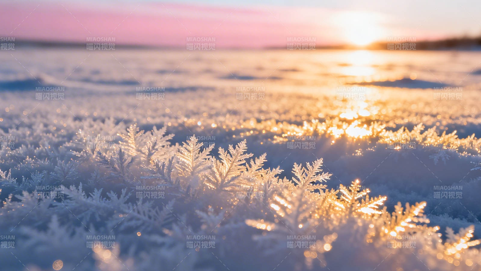 霜花映夕阳 冬景如诗画图片