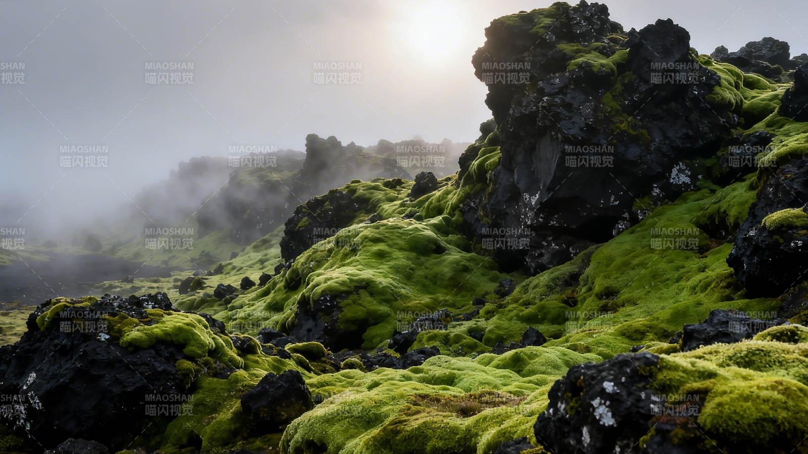 苔原雾绕 黑岩披绿裳图片
