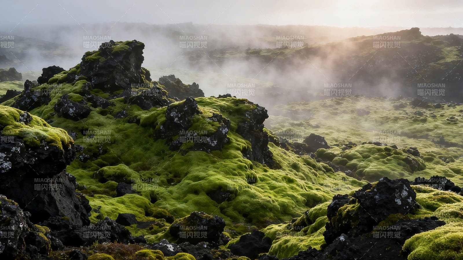 苔原雾境 绿覆黑岩图片