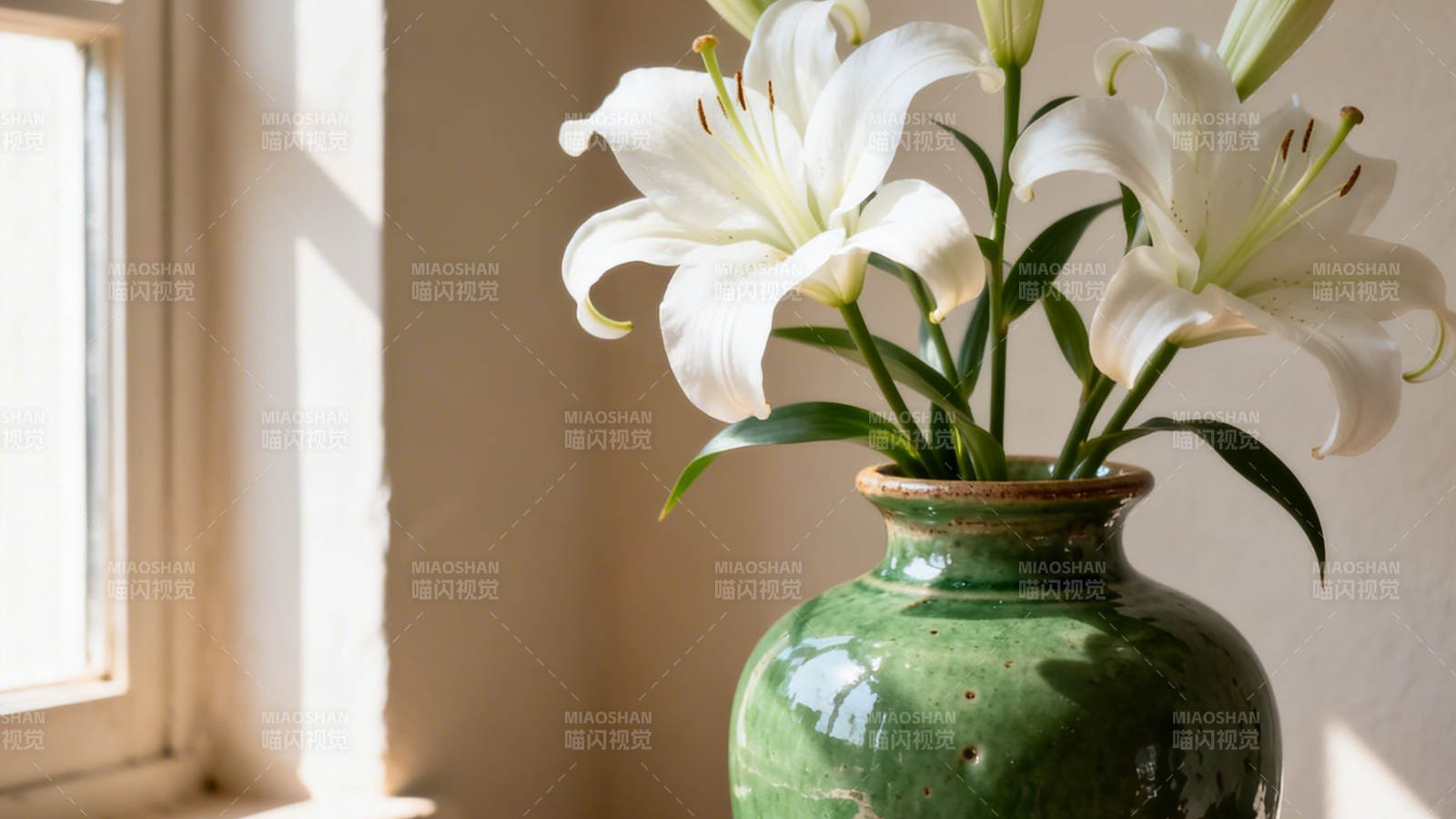 窗边白百合 绿瓶映暖阳图片
