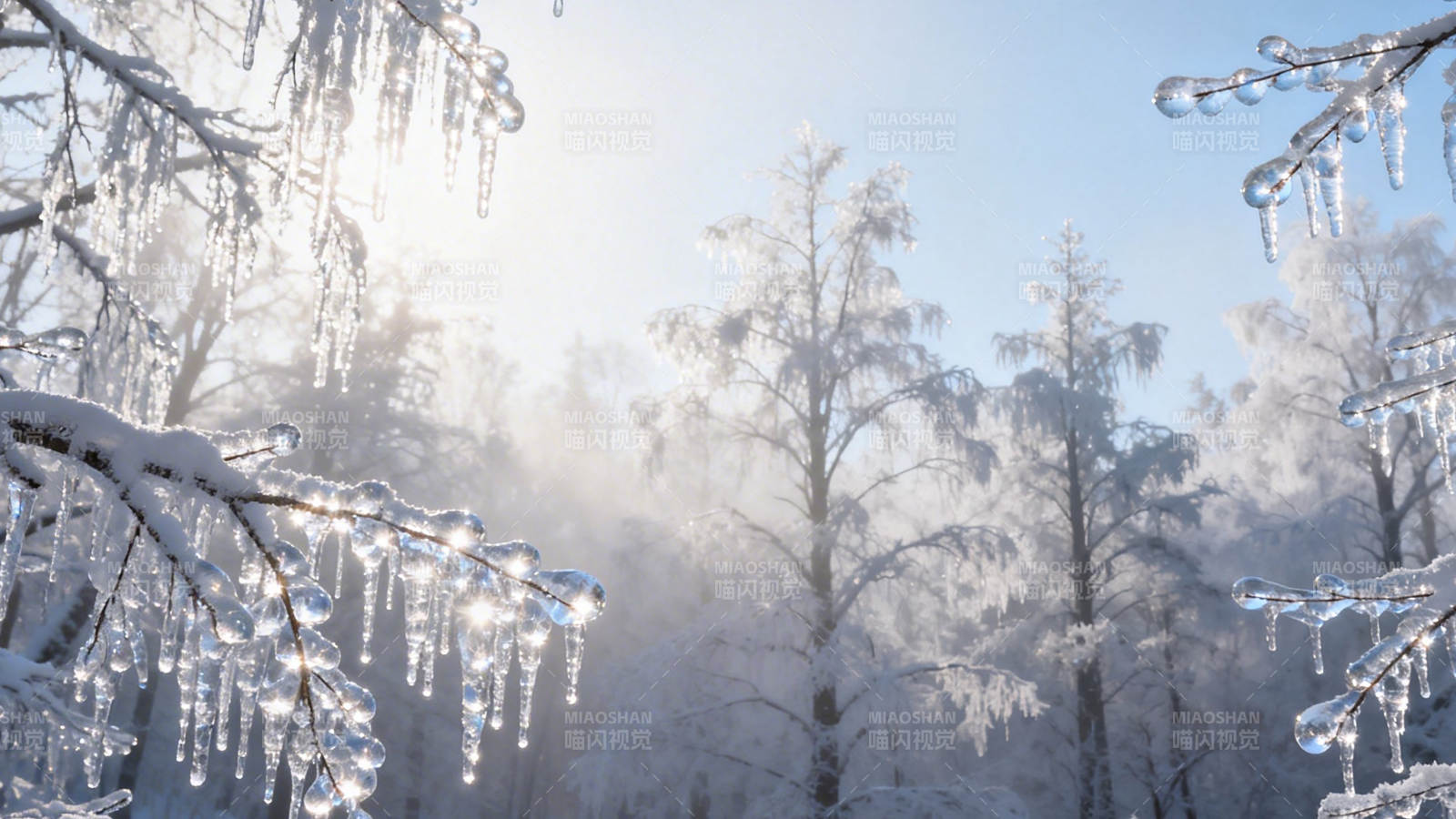 冰挂晨光 雪林静谧美图片