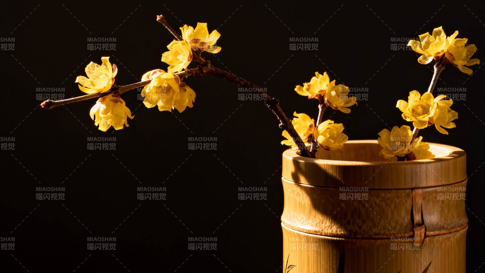 竹筒插黄花 暗香映幽光图片