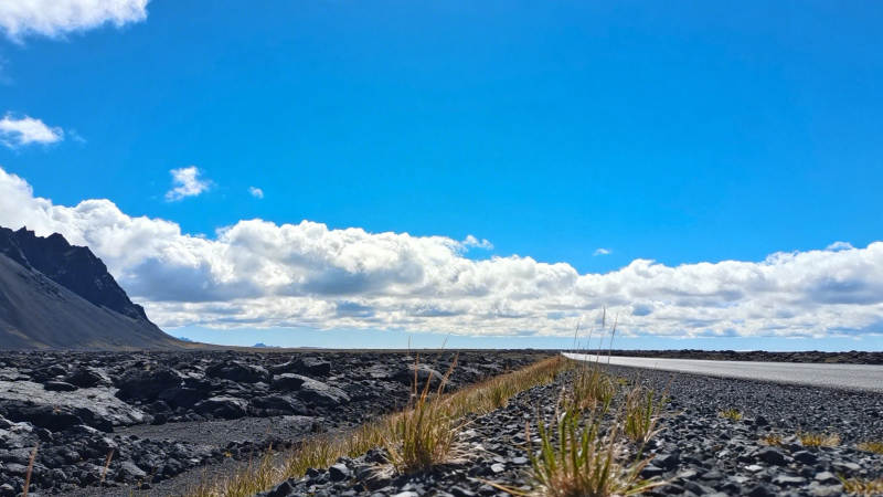 荒原公路 蓝天白云下延伸图片
