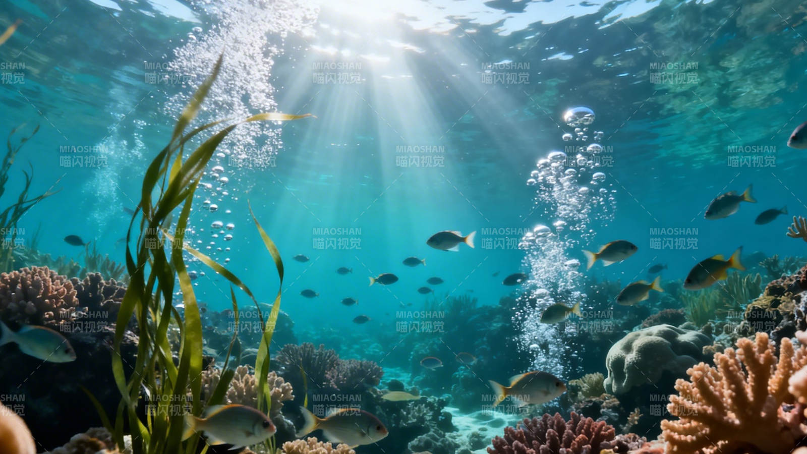 阳光穿透海底珊瑚世界图片