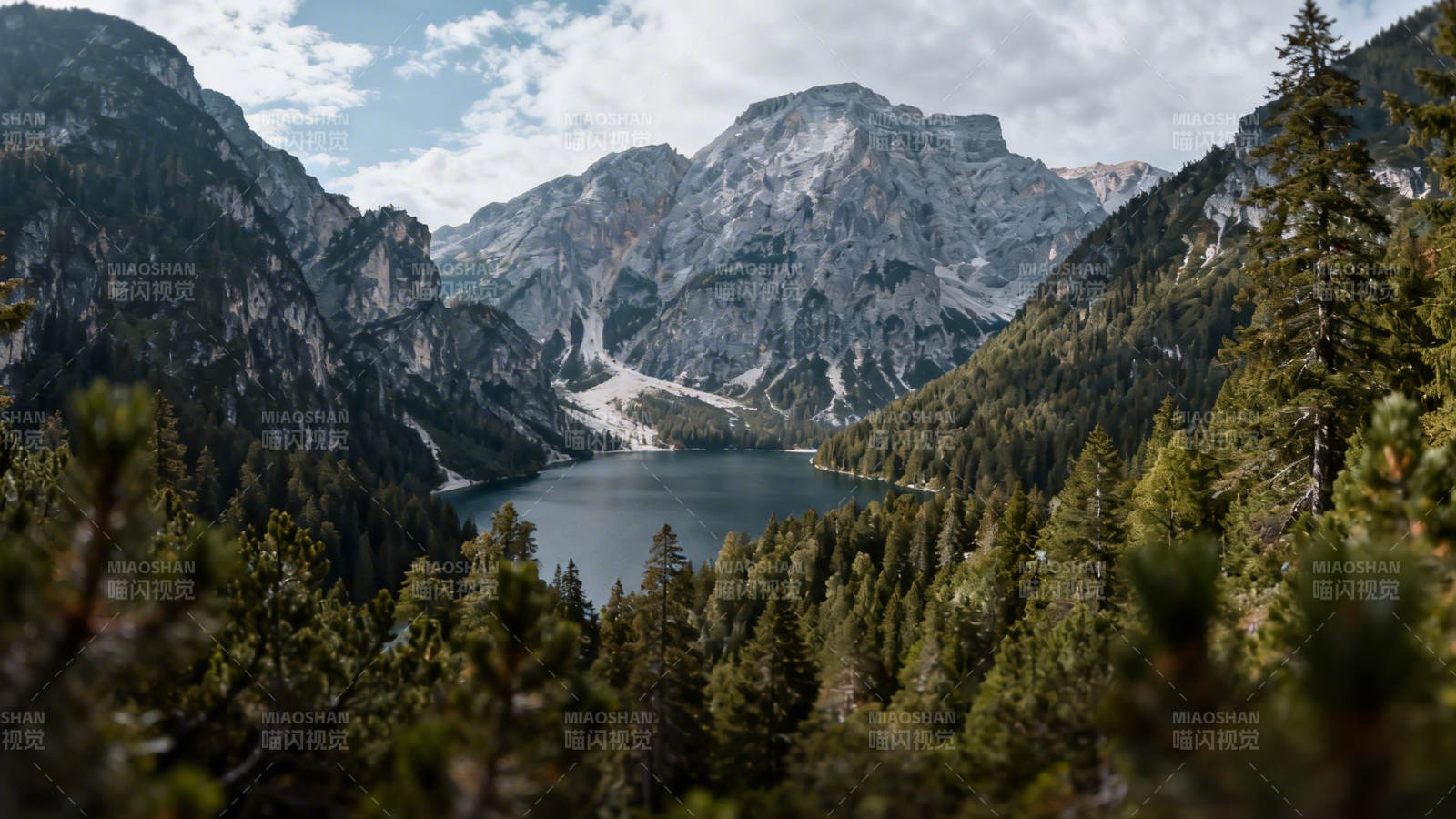 山湖云海 松林环绕仙境图片