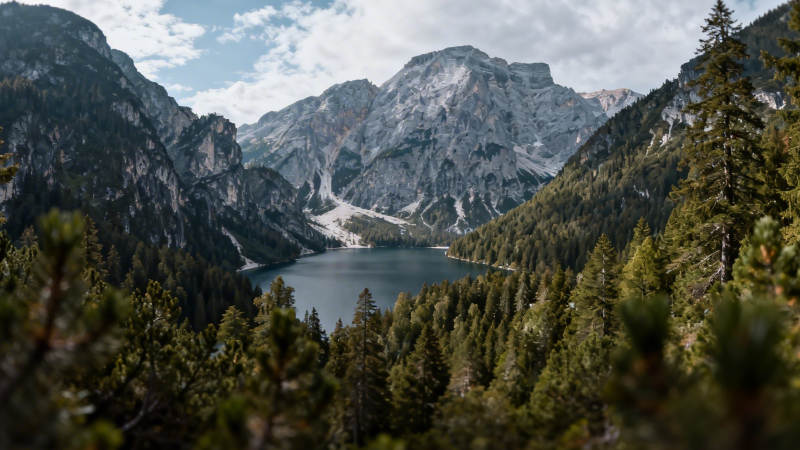 山湖云海 松林环绕仙境图片