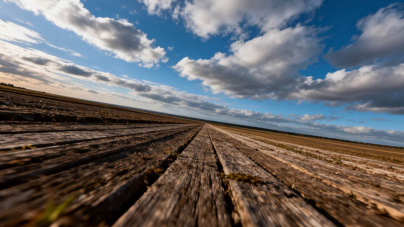 木径通天际 云阔野无垠图片