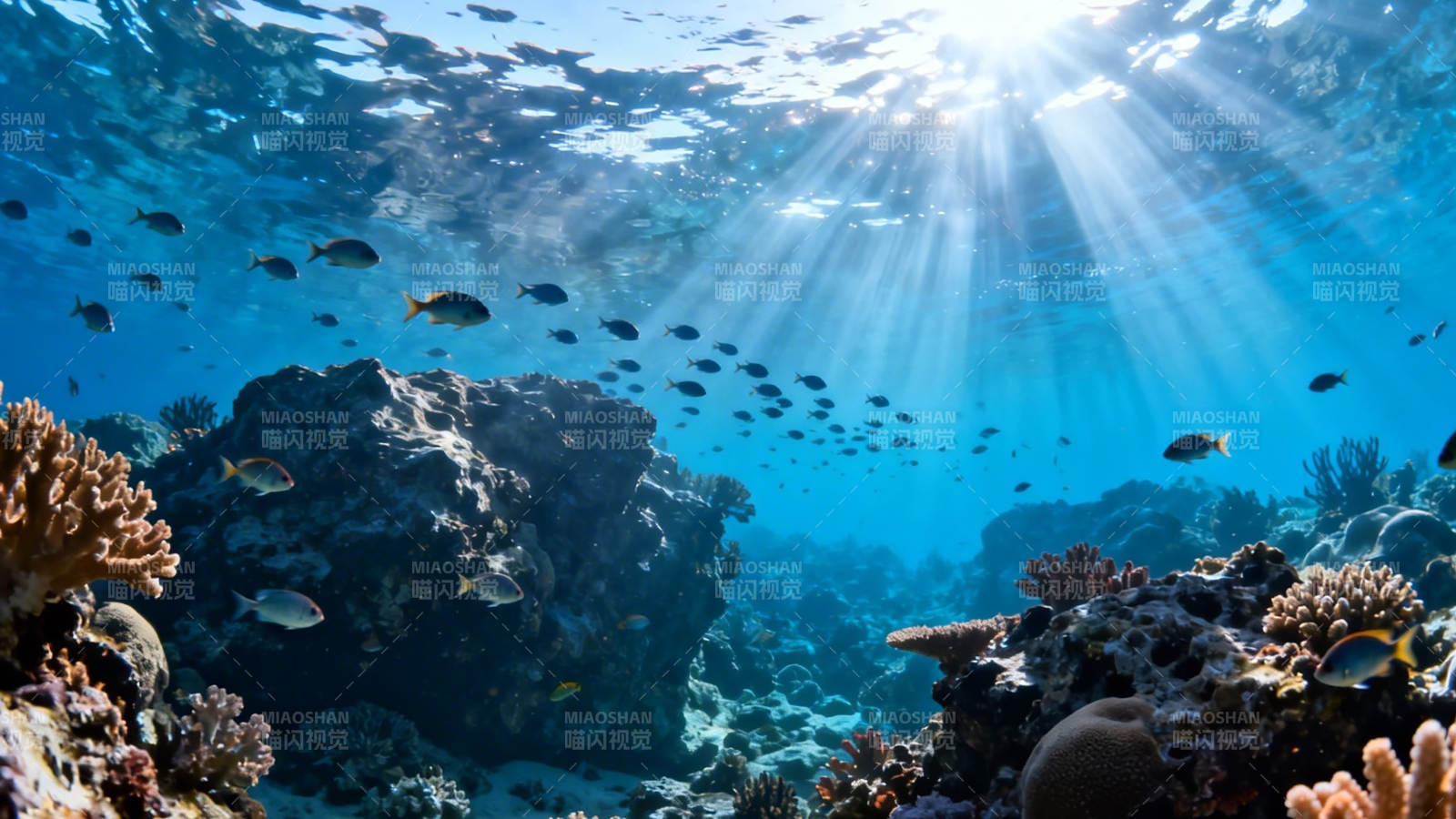 阳光穿透海底珊瑚世界图片