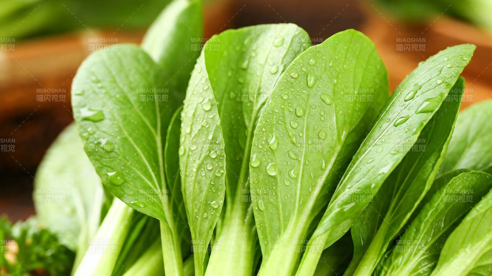 新鲜青菜带水珠 翠绿欲滴图片