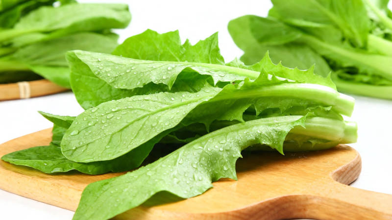 新鲜绿叶菜 水珠晶莹诱人图片