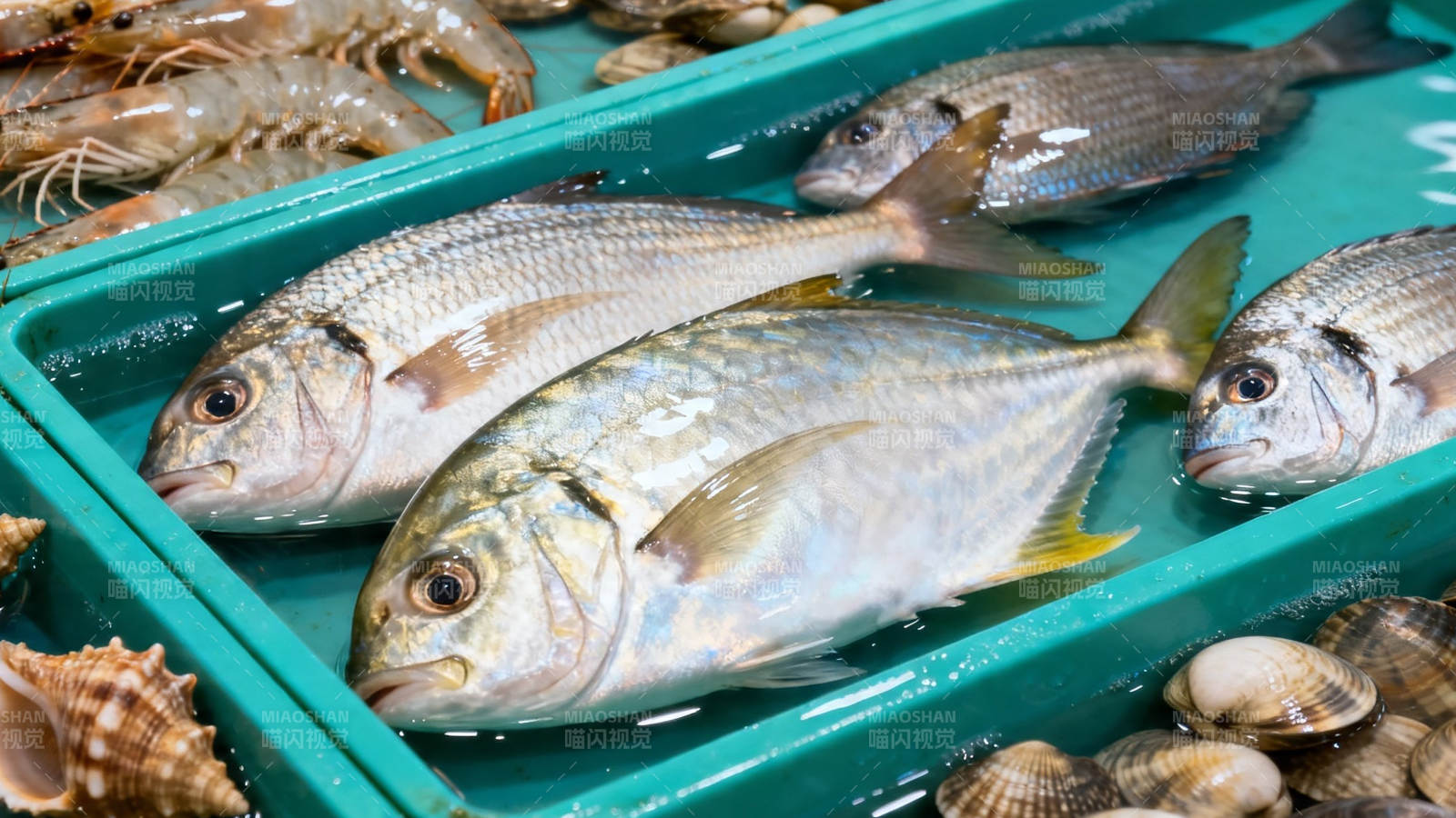 海鲜市场鲜鱼陈列图片