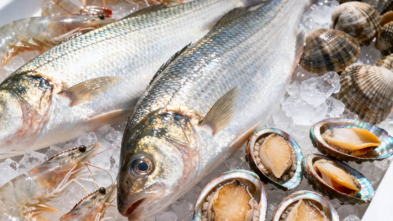 冰鲜海产 鱼虾贝类琳琅满目图片